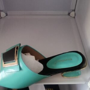 Women’s Aquamarine Statement Buckle Slides